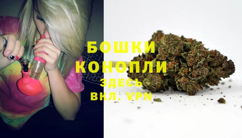 Конопля SATIVA & INDICA  купить   это как зайти  Химки 